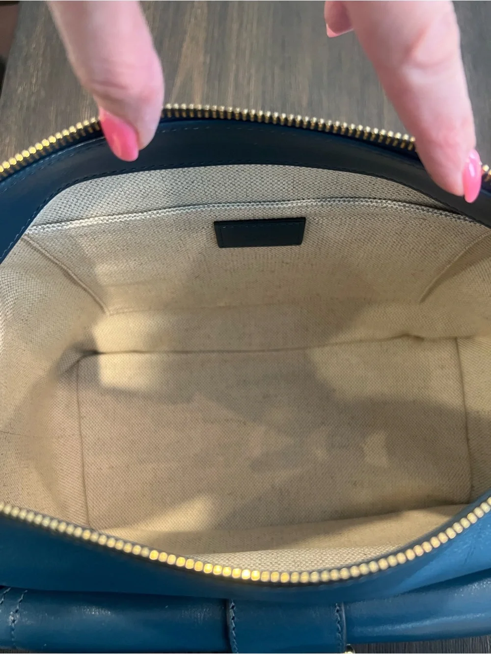 NWT Chloe Camera Bag Leather Satchel